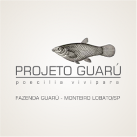 projeto-guarú2